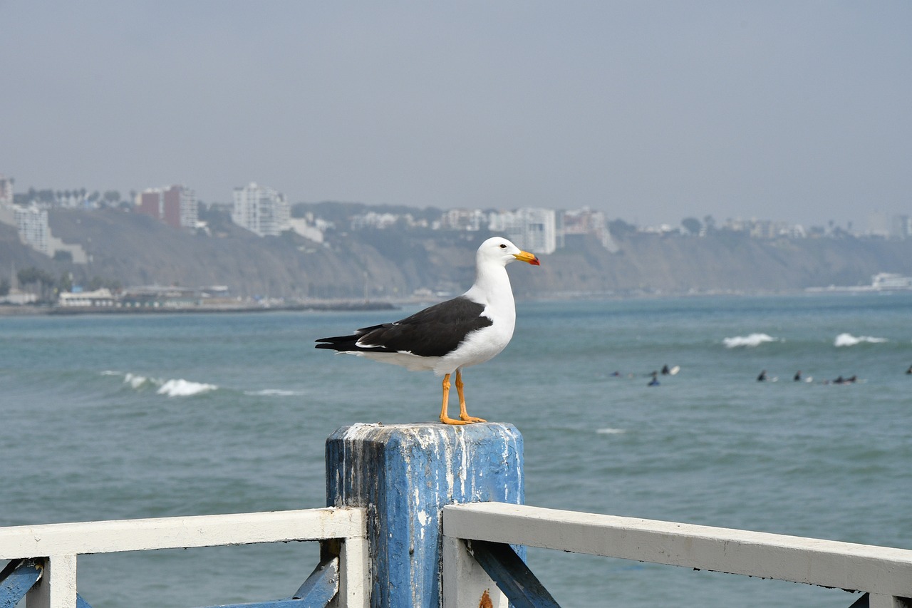 Peruvian Culinary and Cultural Exploration in Lima